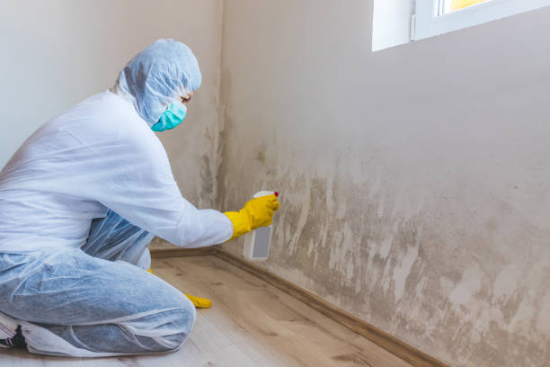 Mold inspector in Westover performing thermal imaging